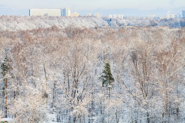 Schneewald und städtische Häuser im Winter — Stockfoto