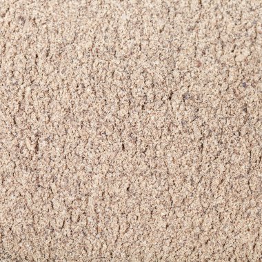 Kara biber. Yakın çekim.