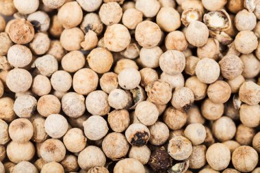 beyaz biber peppercorns yakın çekim