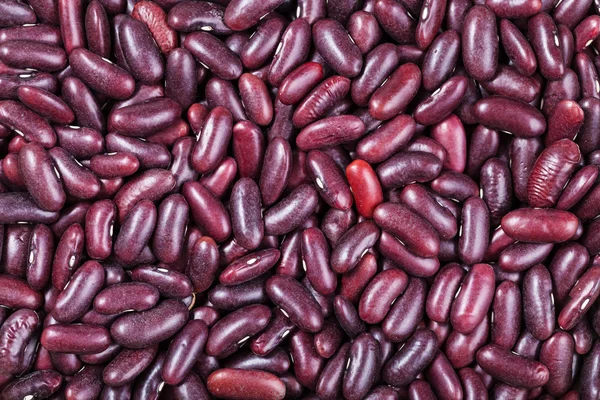 许多原始红芸豆 — 图库照片