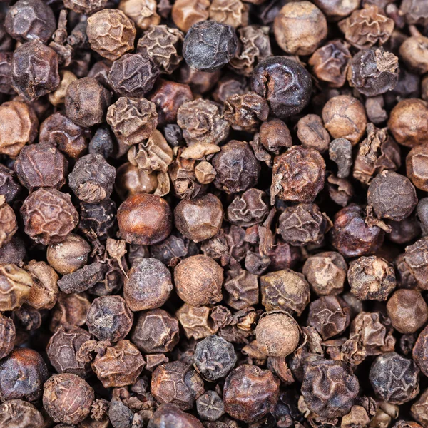 Black pepper peppercorns close up — Stock Photo, Image