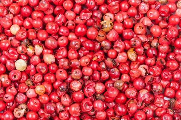 Many red pepper peppercorns — Stock Photo, Image