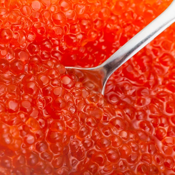 Spoon in trout fish salty red caviar — Stock Photo, Image