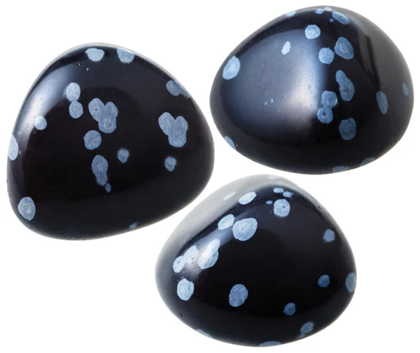 Three snowflake obsidian gemstones isolated — 图库照片