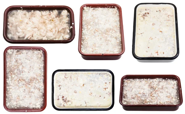 Set of frozen aspics with meat in metal pans — Stock Photo, Image