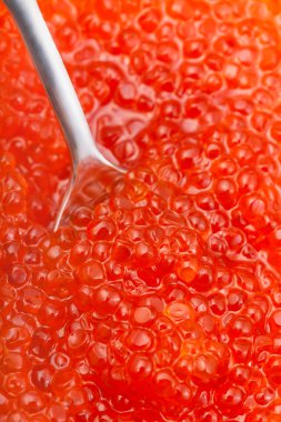 Alabalık balık kırmızı havyar kaşık