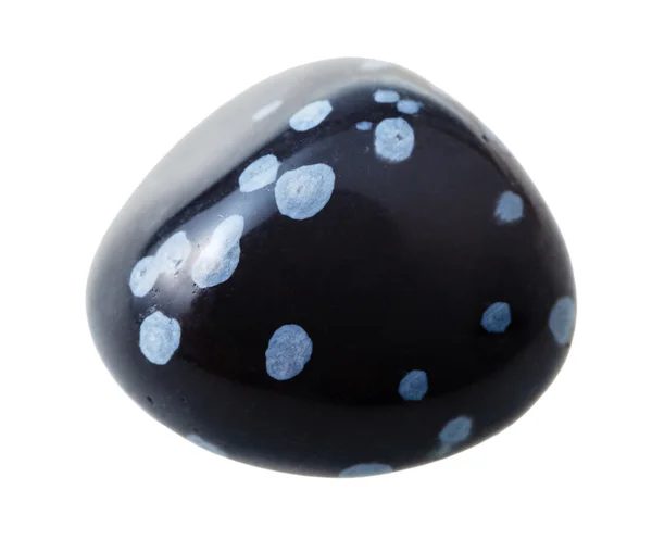 Snowflake obsidian gemstone isolated on white — Zdjęcie stockowe