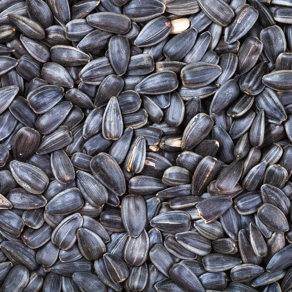 Black roasted sunflower seeds — Stock Photo, Image