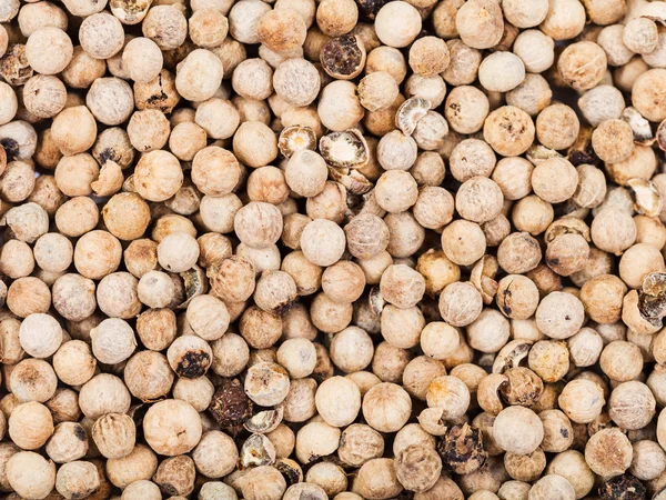 Muchos granos de pimienta blanca seca — Foto de Stock