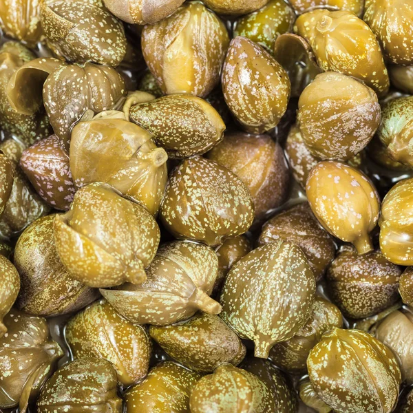 Groene ingemaakte kappertjes close-up — Stockfoto