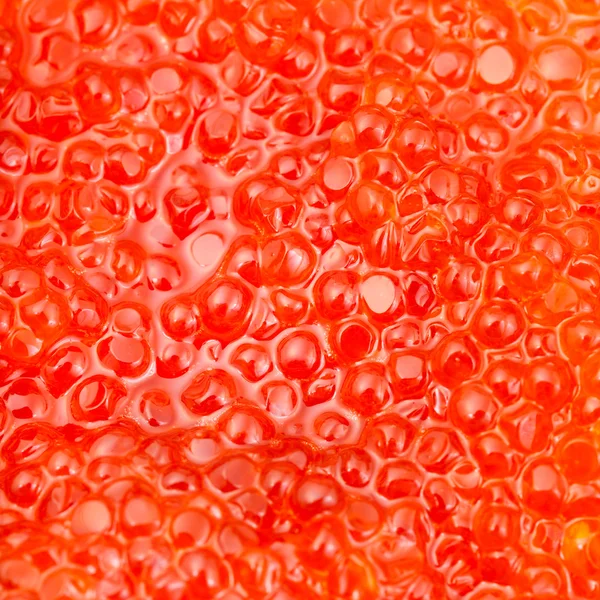 Ψάρια, κόκκινο Χαβιάρι κόκκινο σολομού σε κοντινό πλάνο — Φωτογραφία Αρχείου