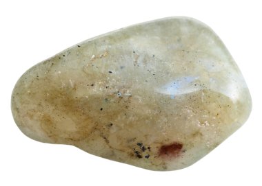 beyaz izole bir Labrador değerli taş