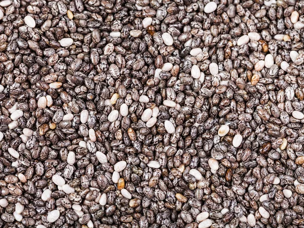 Semillas secas de la planta de chía (salvia hispanica) — Foto de Stock