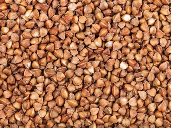 Grano de trigo sarraceno crudo — Foto de Stock