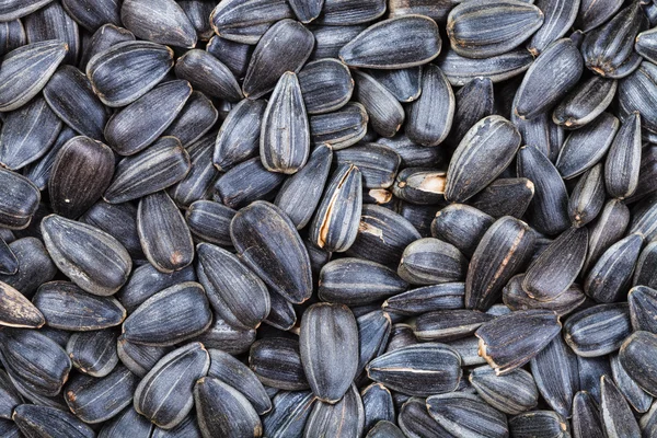 Muitas sementes de girassol torrado preto — Fotografia de Stock