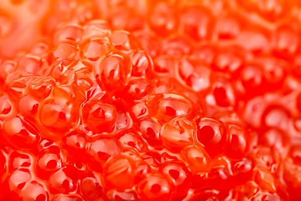 Sockeye salmon fish red caviar close up — Stock Photo, Image
