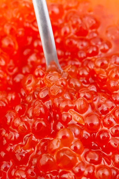 Colher no peixe de salmão azul caviar vermelho salgado — Fotografia de Stock