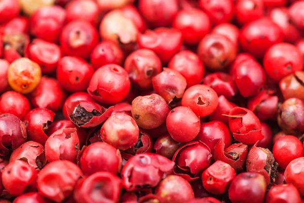 Getrocknete Paprika-Pfefferkörner aus nächster Nähe — Stockfoto