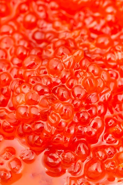 Εσωτερικη sockeye σολομός ΑΛΙΠΑΣΤΑ κόκκινο χαβιάρι — Φωτογραφία Αρχείου