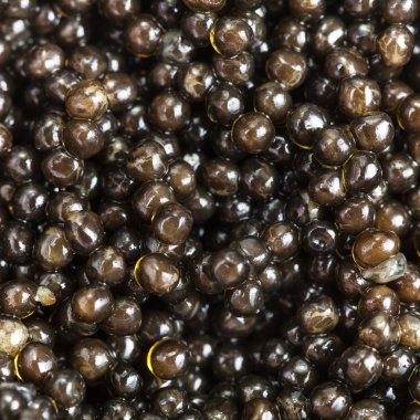 arka plan siyah mersin balığı havyar yakın çekim