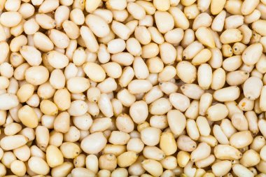 birçok soyulmuş çam tohumu