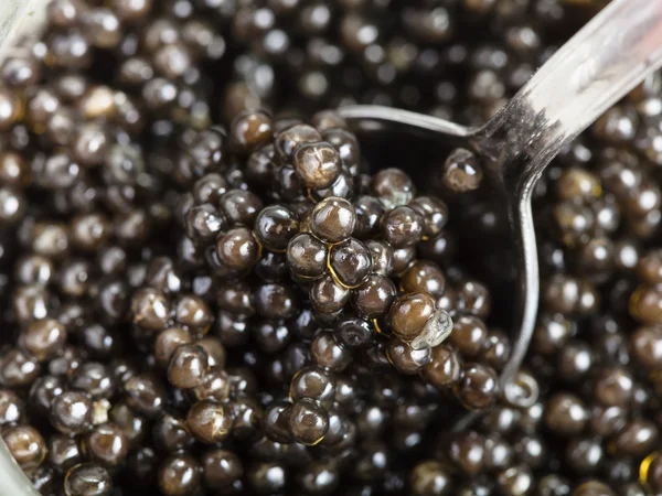 Spoon scoops black sturgeon caviar from glass jar — Stock Photo, Image