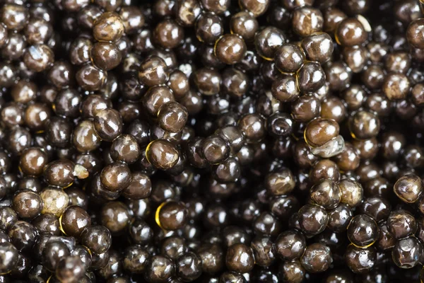 De nombreux caviar d'esturgeon noir en gros plan — Photo