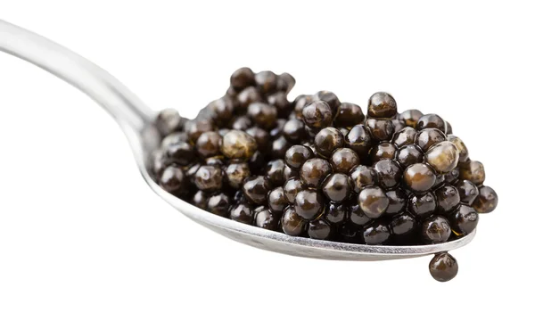 Spoon with black sturgeon caviar close up isolated — Stock Photo, Image