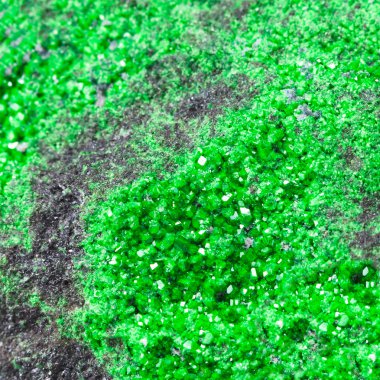 green uvarovite crystals on rock close up