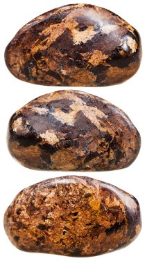 three tumbled Bronzite gemstones isolated clipart