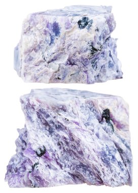 two pieces of charoite crystalline rock isolated clipart