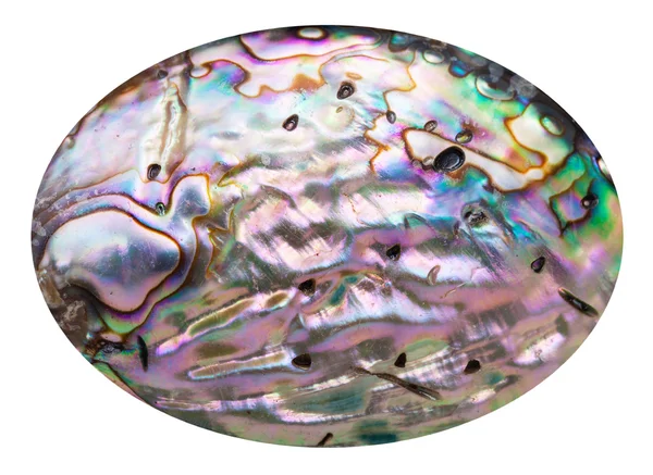 分離真珠シェルのピンクの研磨面 — ストック写真