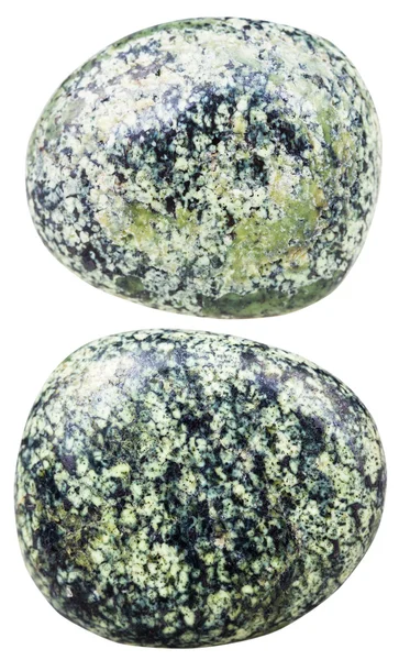 Two tumbled serpentine gemstones isolated — Stok fotoğraf