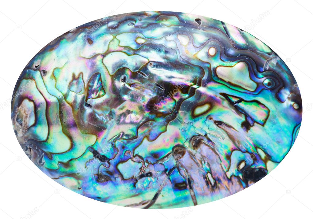 blue polished surface of nacre shell isolated