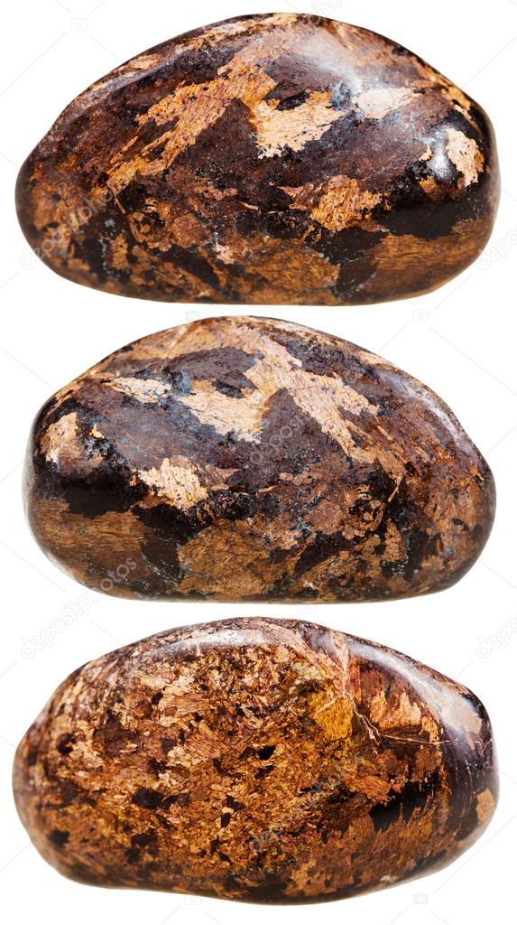 three tumbled Bronzite gemstones isolated