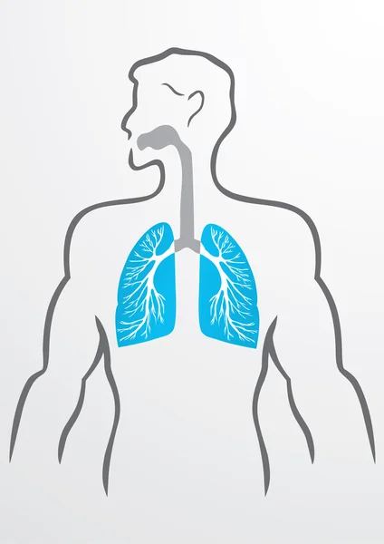 Lungs and human body - Illustration — Stock Vector