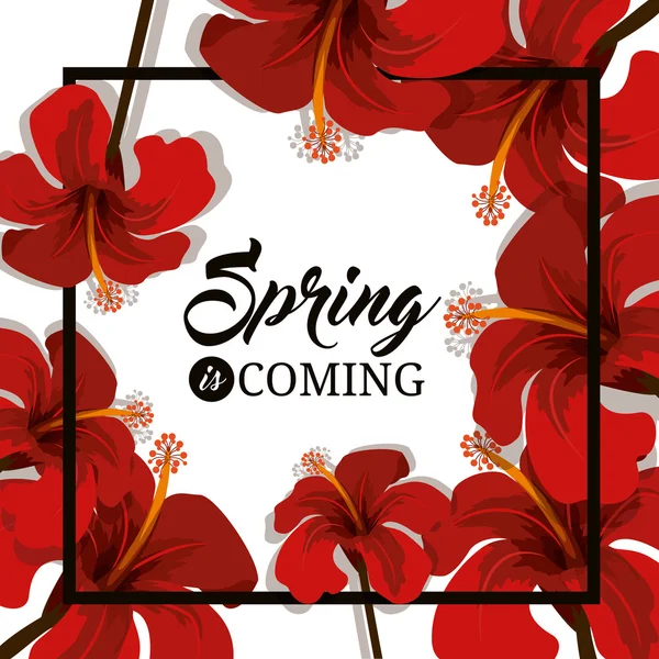 Ciao primavera design — Vettoriale Stock