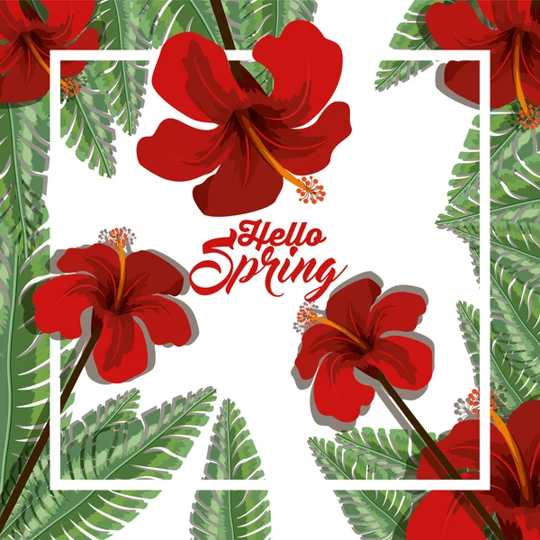 Привіт весна дизайн — стоковий вектор