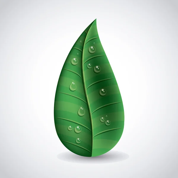 Disegno foglie ecologiche — Vettoriale Stock