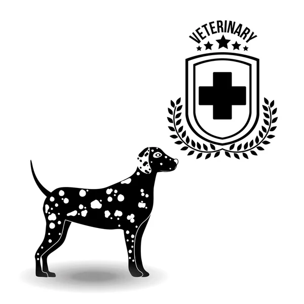 Progettazione clinica veterinaria — Vettoriale Stock