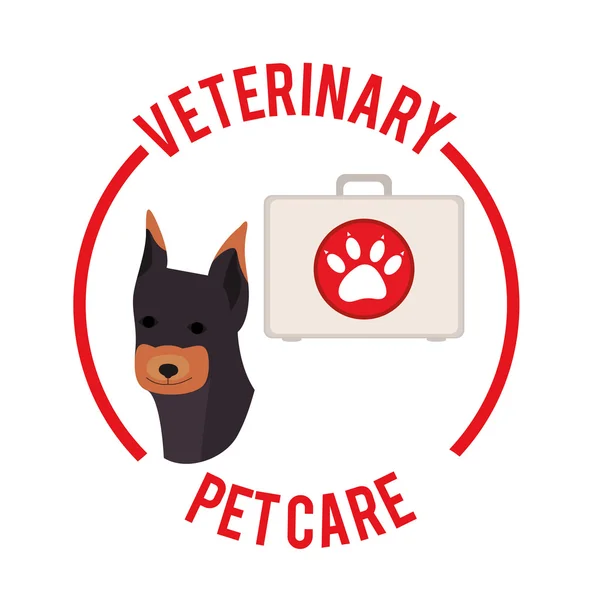 Progettazione clinica veterinaria — Vettoriale Stock