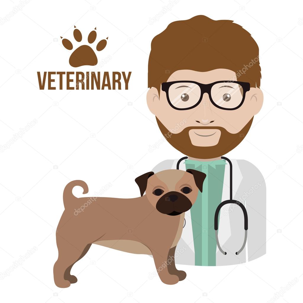 Vet clinic design Stock Vector Image by ©grgroupstock 104418380