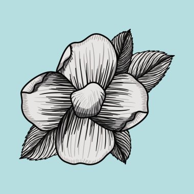 çiçek Çizim tasarım