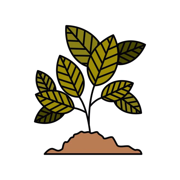Galho de árvore com folhas design ícone isolado — Vetor de Stock