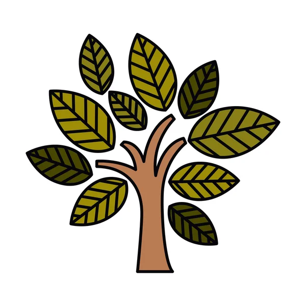 Rama de árbol con hojas diseño icono aislado — Vector de stock