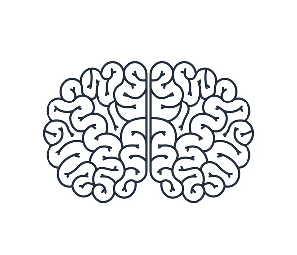 Brain human isolated icon design — Stock Vector