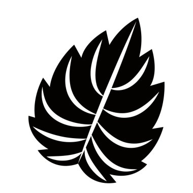 yaprak izole bitki simgesi tasarım