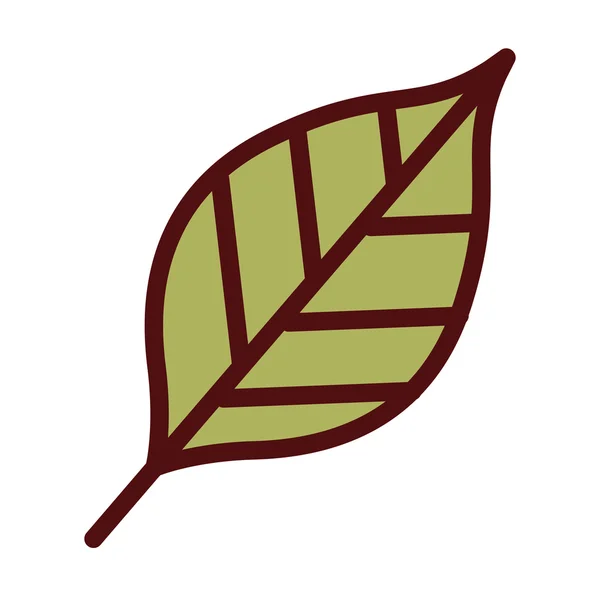 Listy rostlin, samostatný ikonu design — Stockový vektor