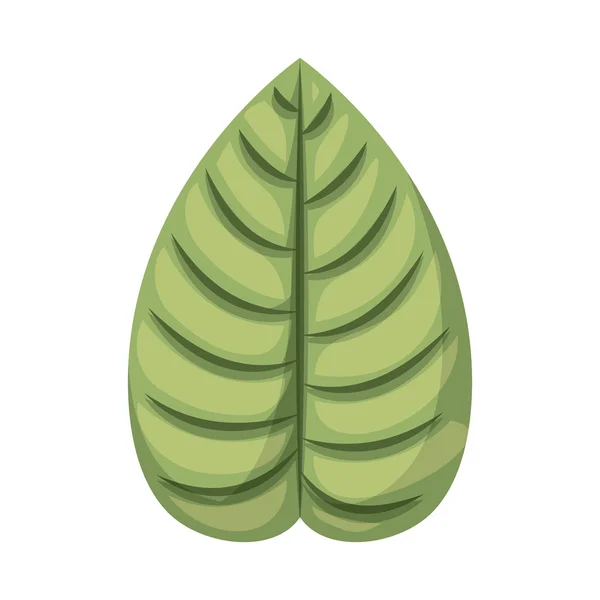 葉分離植物アイコン デザイン — ストックベクタ