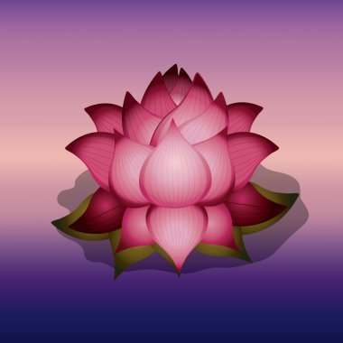 Lotus çiçeği bulanıklık arka plan üzerinde izole simgesi